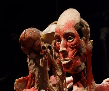 Body Worlds Amsterdam Ticket